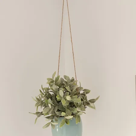 בית הארחה Houseboat The New - Nieuwe